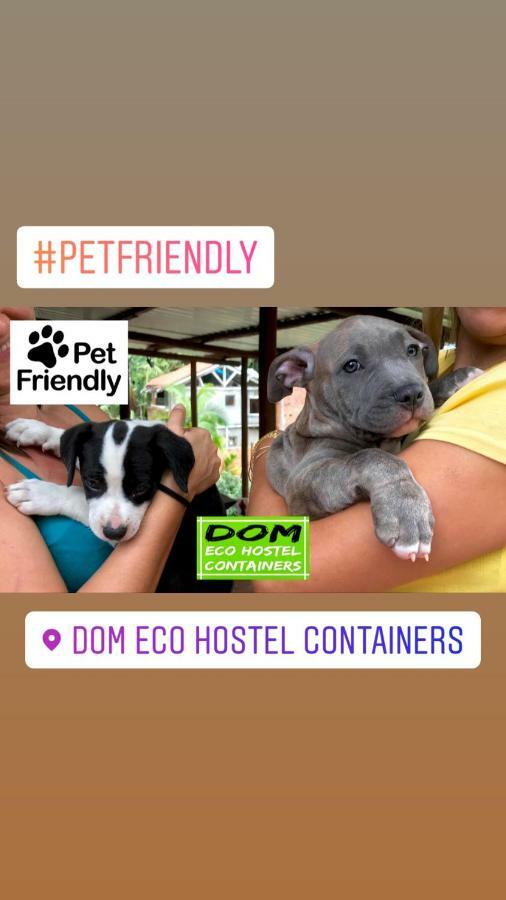סאו סבסטיאו Dom Eco Hostel Containers מראה חיצוני תמונה